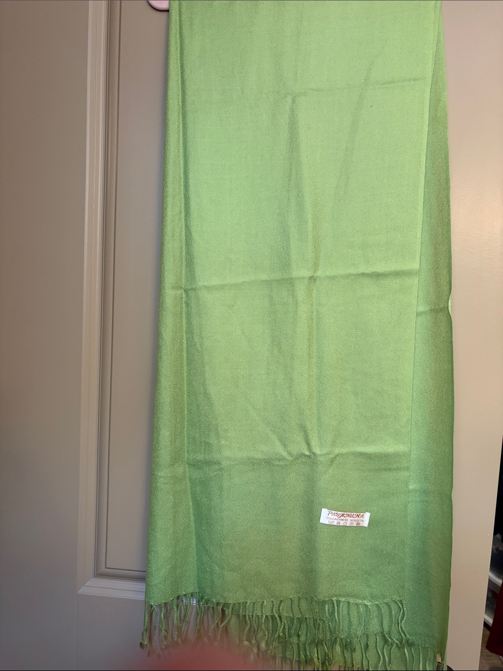 Light Apple Green Pashmina Shawl Scarf 70% Cashmere 30% Silk Fringe